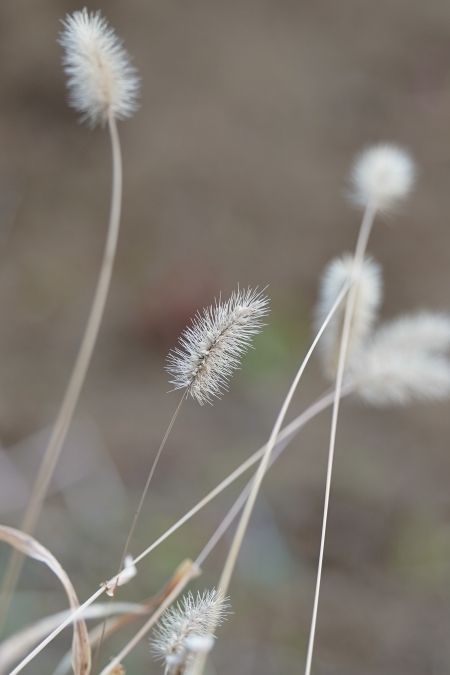../blogimage/ta/20260201_144111/20260201_144111_2.jpg