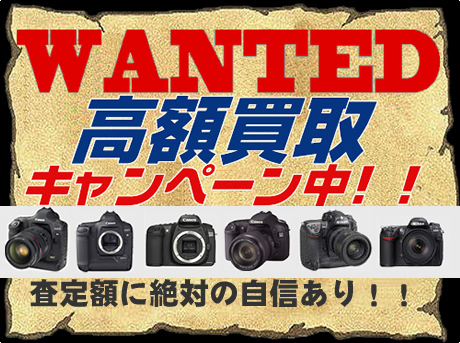WANTED ����顦��󥺹����襭���ڡ����桪��