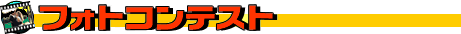 �ե��ȥ���ƥ���