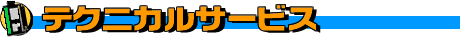 �ƥ��˥��륵���ӥ�