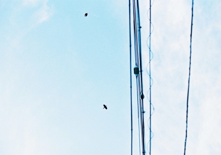 ../blogimage/ao/20190804_144047/20190804_144047_1.jpg