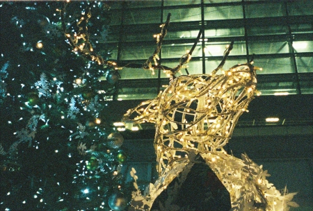 ../blogimage/ao/20200409_100736/20200409_100736_2.jpg