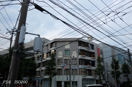 ../blogimage/ao/20200821_152847/20200821_152847_1.jpg