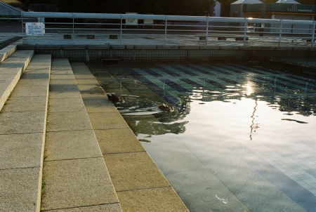 ../blogimage/ao/20201013_144617/20201013_144617_1.jpg