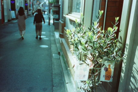 ../blogimage/ao/20210417_114429/20210417_114429_1.jpg