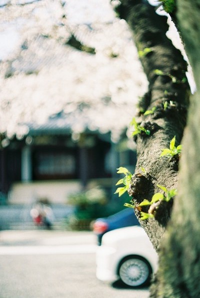 ../blogimage/ao/20210905_111644/20210905_111644_2.jpg