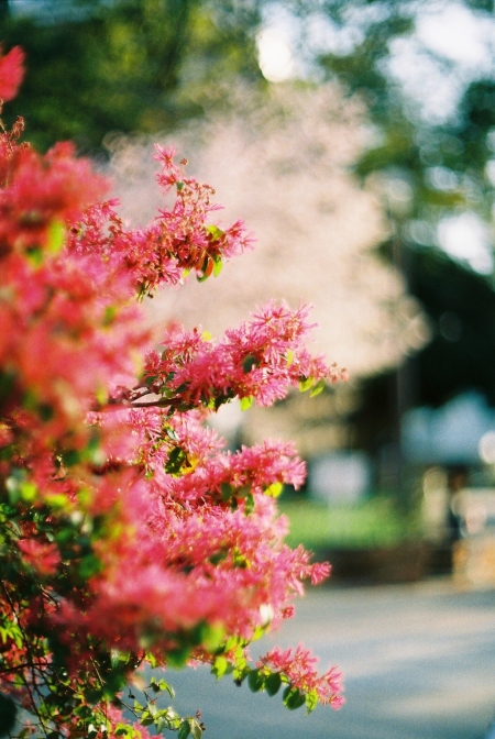 ../blogimage/ao/20220122_103107/20220122_103107_1.jpg