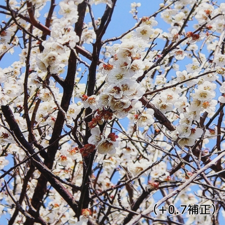 ../blogimage/ao/20220329_145453/20220329_145453_1.jpg