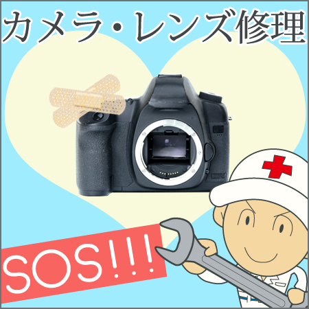 ../blogimage/ao/20220830_163554/20220830_163554_0.jpg