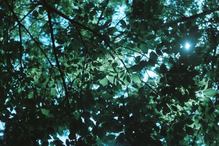 ../blogimage/ao/20240129_134208/20240129_134208_1.jpg