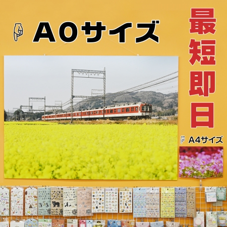 ../blogimage/ao/20241028_164829/20241028_164829_1.jpg