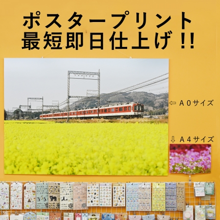 ../blogimage/ao/20241111_165817/20241111_165817_1.jpg