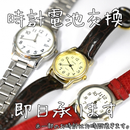 ../blogimage/ao/20250410_154553/20250410_154553_0.jpg