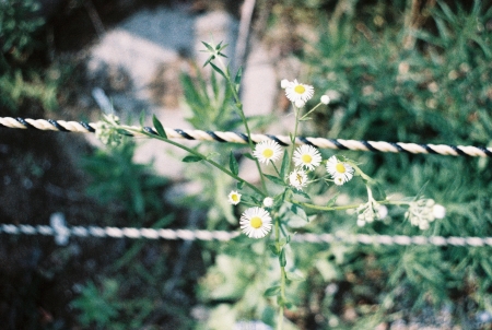 ../blogimage/ao/20260604_132829/20260604_132829_2.jpg