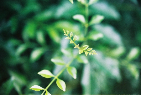 ../blogimage/kh/20190819_161413/20190819_161413_3.jpg