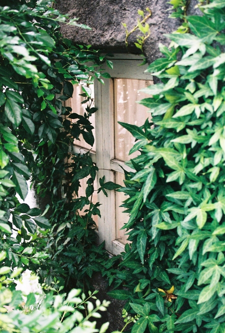 ../blogimage/kh/20190823_170543/20190823_170543_3.jpg