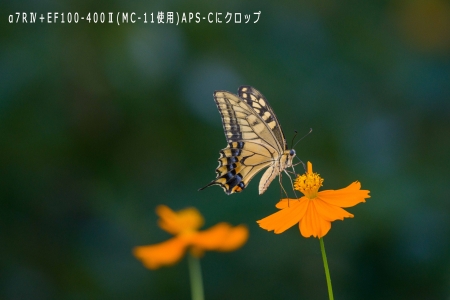 ../blogimage/kh/20190910_163253/20190910_163253_1.jpg