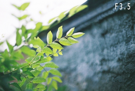 ../blogimage/kh/20200902_164603/20200902_164603_1.jpg