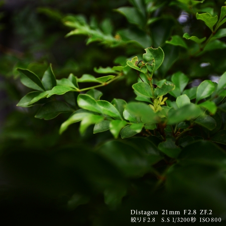 ../blogimage/kh/20200913_114548/20200913_114548_1.jpg