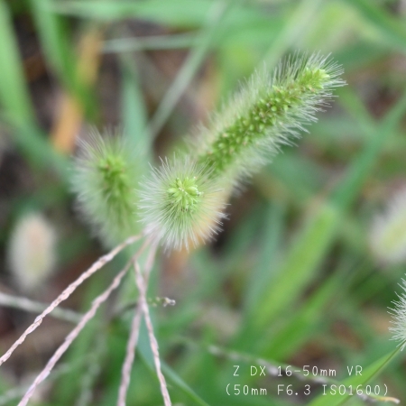 ../blogimage/kh/20200916_170036/20200916_170036_1.jpg