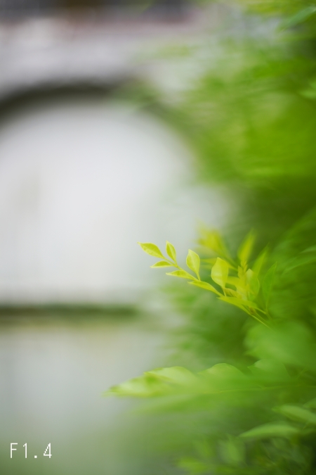 ../blogimage/kh/20200921_160403/20200921_160403_1.jpg