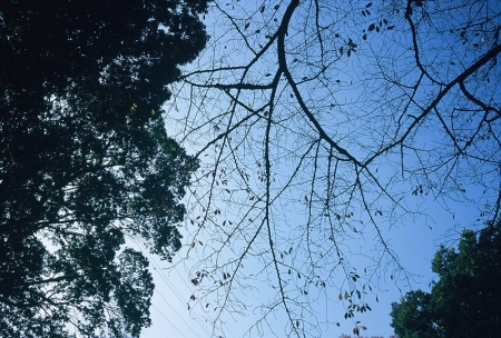 ../blogimage/kh/20210402_130248/20210402_130248_1.jpg