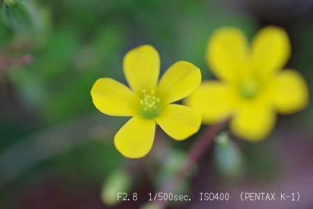 ../blogimage/kh/20210418_125955/20210418_125955_1.jpg
