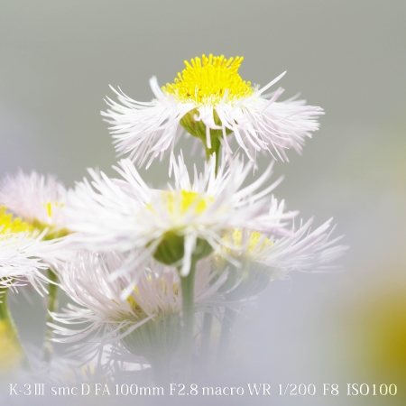 ../blogimage/kh/20210504_114028/20210504_114028_1.jpg