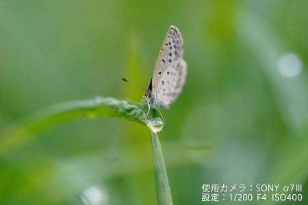 ../blogimage/kh/20220804_165701/20220804_165701_2.jpg