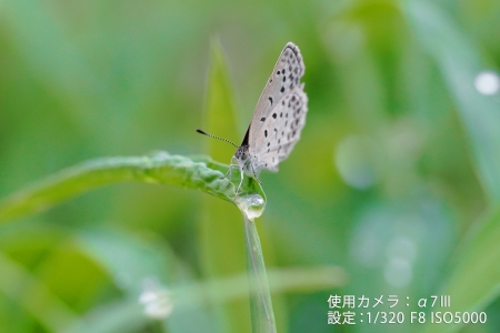 ../blogimage/kh/20220804_165701/20220804_165701_3.jpg