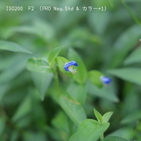 ../blogimage/kh/20220911_141437/20220911_141437_2.jpg