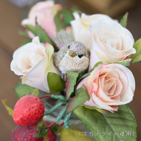 ../blogimage/kh/20221119_151304/20221119_151304_5.jpg