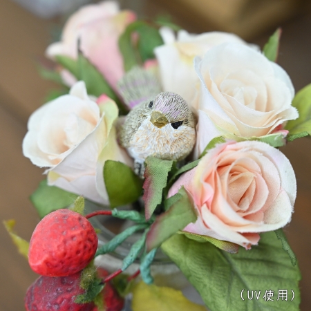 ../blogimage/kh/20221119_151304/20221119_151304_6.jpg