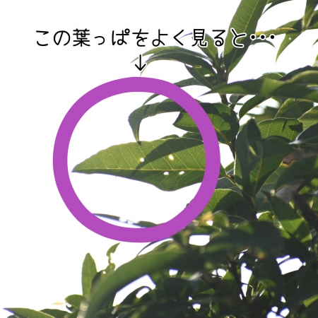 ../blogimage/kh/20230118_143830/20230118_143830_0.jpg