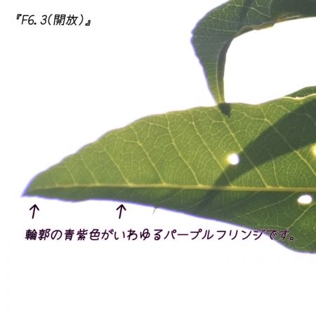 ../blogimage/kh/20230118_143830/20230118_143830_1.jpg