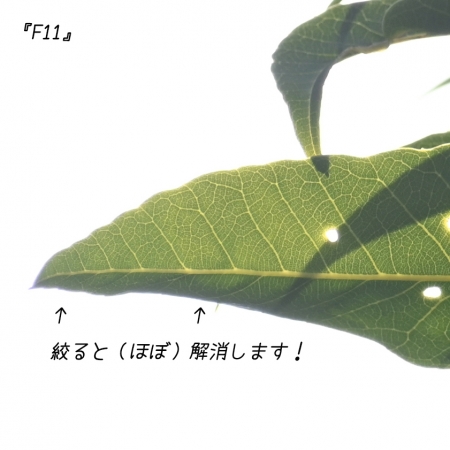 ../blogimage/kh/20230118_143830/20230118_143830_2.jpg
