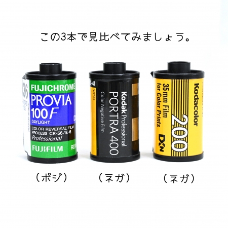 ../blogimage/kh/20230314_164930/20230314_164930_0.jpg