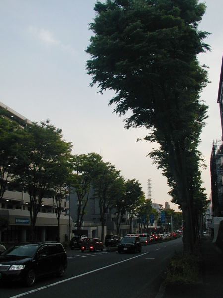 ../blogimage/kh/20230511_181319/20230511_181319_3.jpg