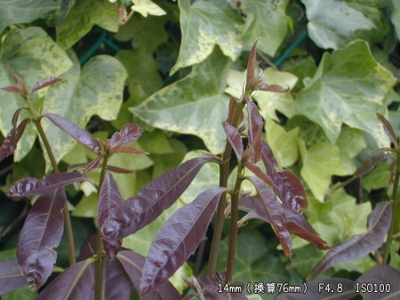 ../blogimage/kh/20230623_140447/20230623_140447_3.jpg