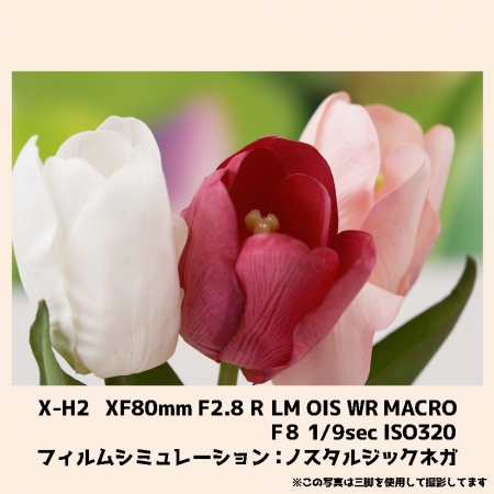 ../blogimage/kh/20231012_155300/20231012_155300_3.jpg