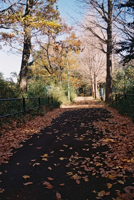 ../blogimage/ms/20201110_103802/20201110_103802_2.jpg