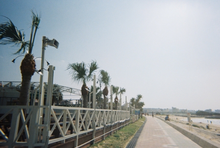 ../blogimage/ms/20201115_102144/20201115_102144_2.jpg