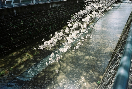 ../blogimage/ms/20210417_095255/20210417_095255_1.jpg