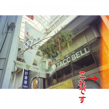 ../blogimage/ms/20220916_134628/20220916_134628_0.jpg