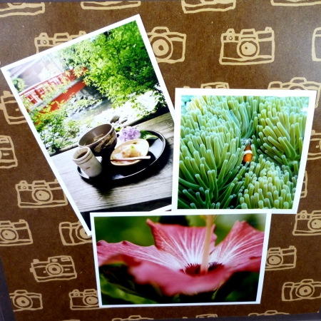 ../blogimage/oz/20190611_122840/20190611_122840_1.jpg