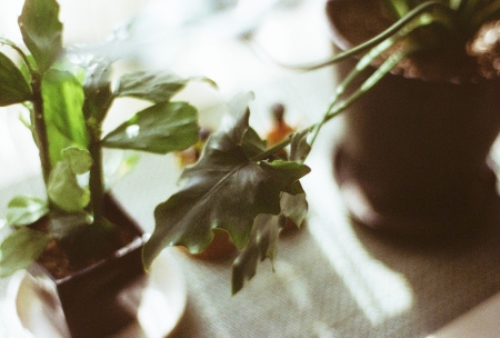 ../blogimage/ta/20211225_093035/20211225_093035_1.jpg