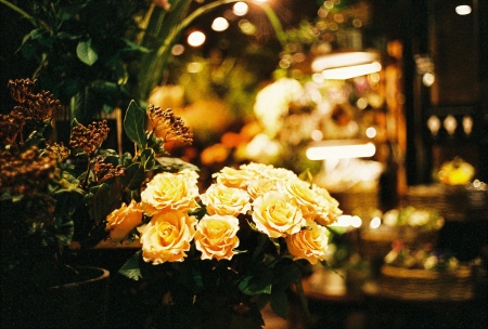../blogimage/ta/20230516_160315/20230516_160315_2.jpg