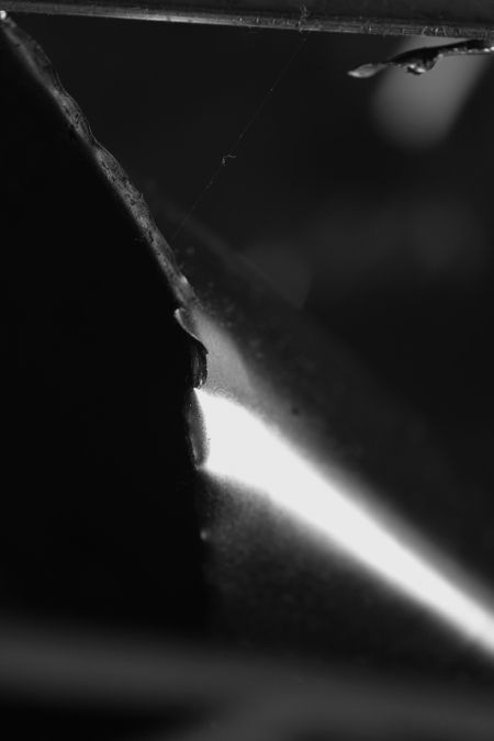 ../blogimage/ta/20231212_143135/20231212_143135_3.jpg