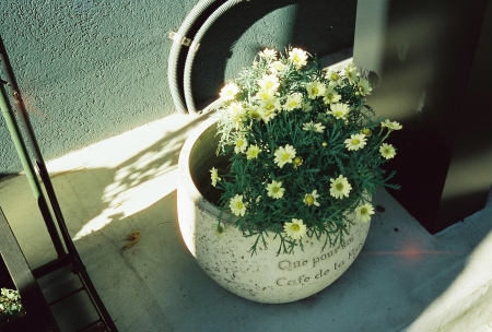 ../blogimage/ta/20231221_192336/20231221_192336_2.jpg