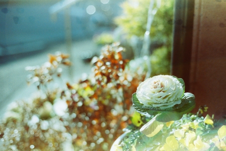 ../blogimage/ta/20240109_144136/20240109_144136_2.jpg